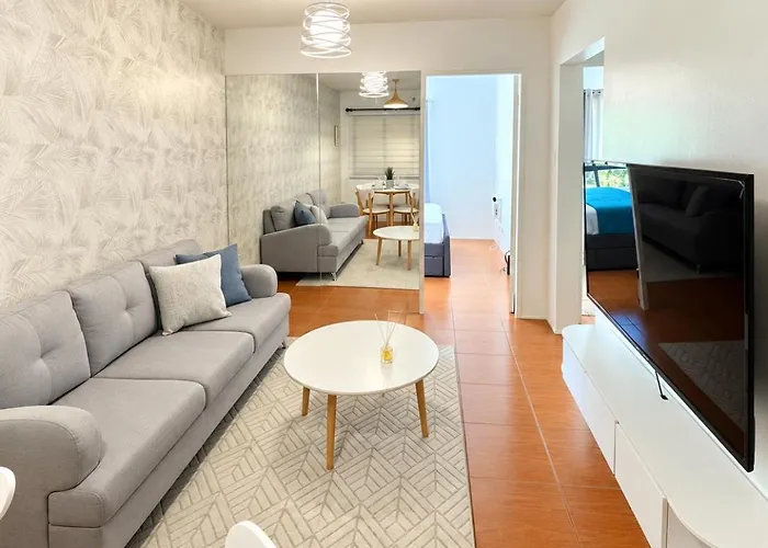 Modern Luxe 2 Bedroom Free Pool Access Parking And Netflix